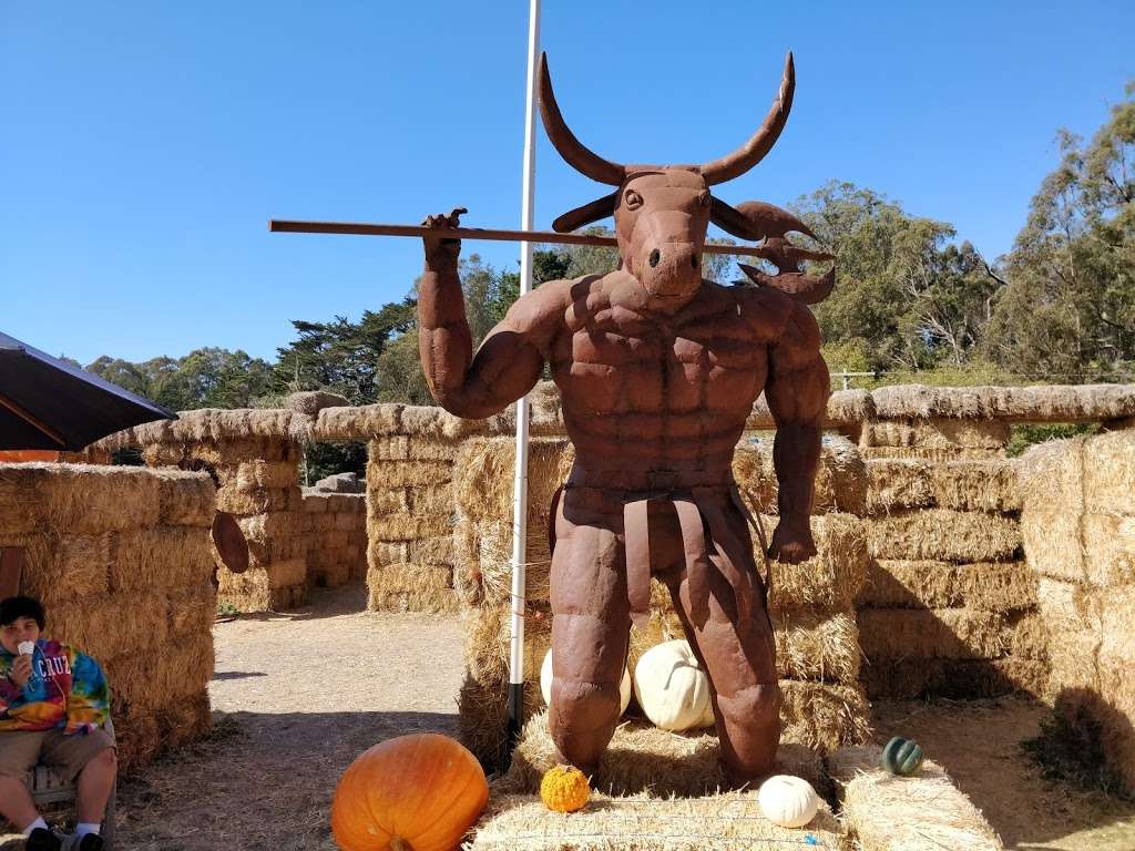 Aratas Pumpkin Farm | 185 Verde Rd, Half Moon Bay, CA 94019, USA | Phone: (650) 726-7548