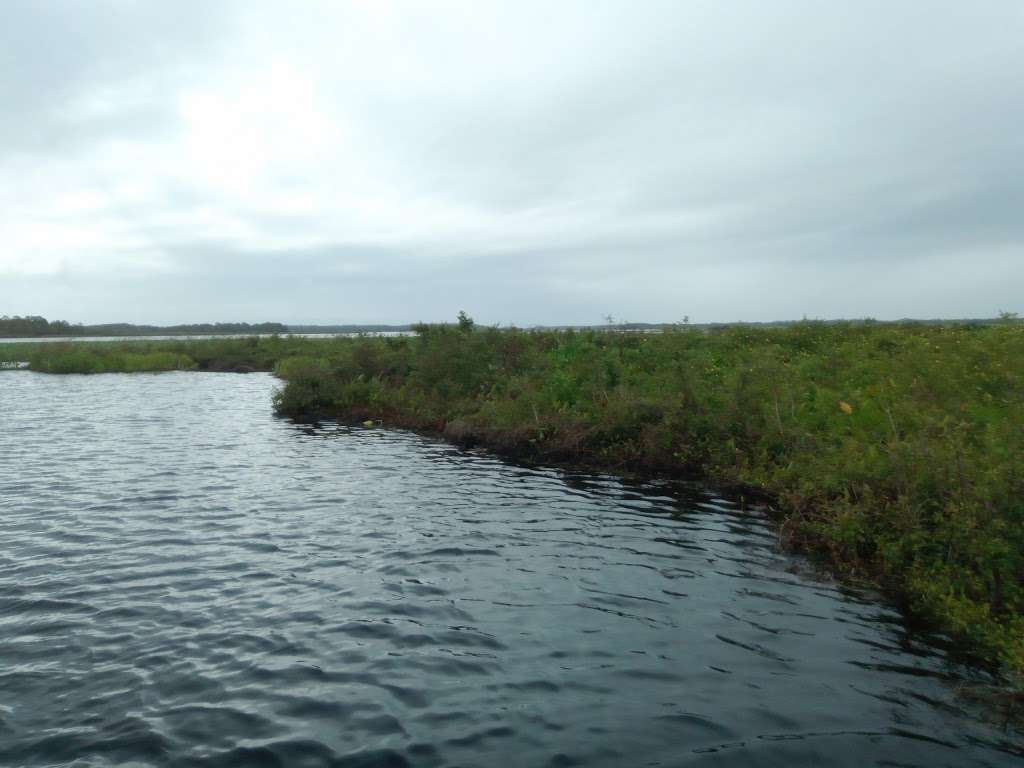 ALLIGATORS UNLIMITED AIRBOAT NATURE TOURS | 14400 Reese Dr, Lake Wales, FL 33898, USA | Phone: (863) 696-0313