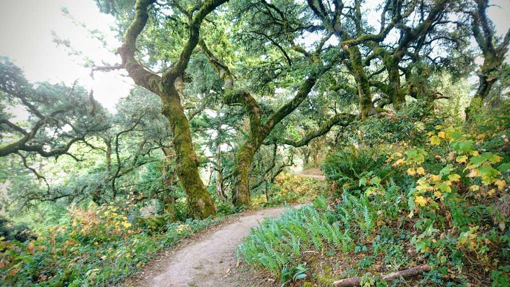 Lost Trail | Lost Trail, Portola Valley, CA 94028, USA