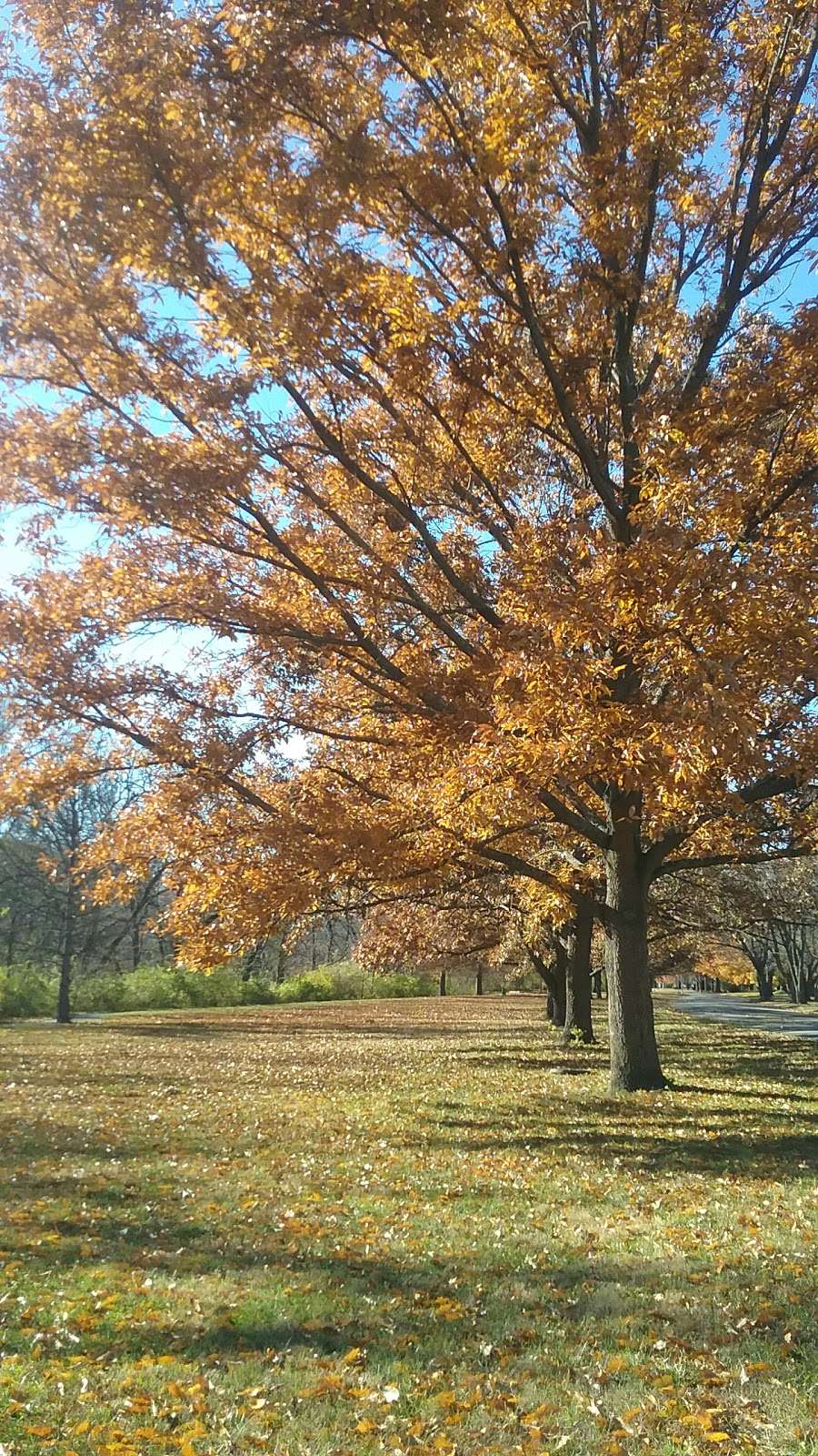 Nall Hills Park | Indian Creek Bike Trail, Overland Park, KS 66207 | Phone: (913) 895-6000