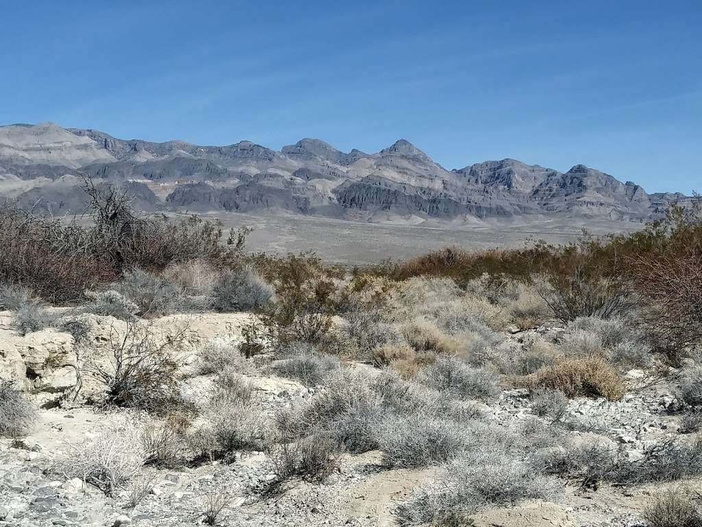 Desert National Wildlife Refuge | 16001 Corn Creek Rd, Las Vegas, NV 89124, USA | Phone: (702) 879-6110