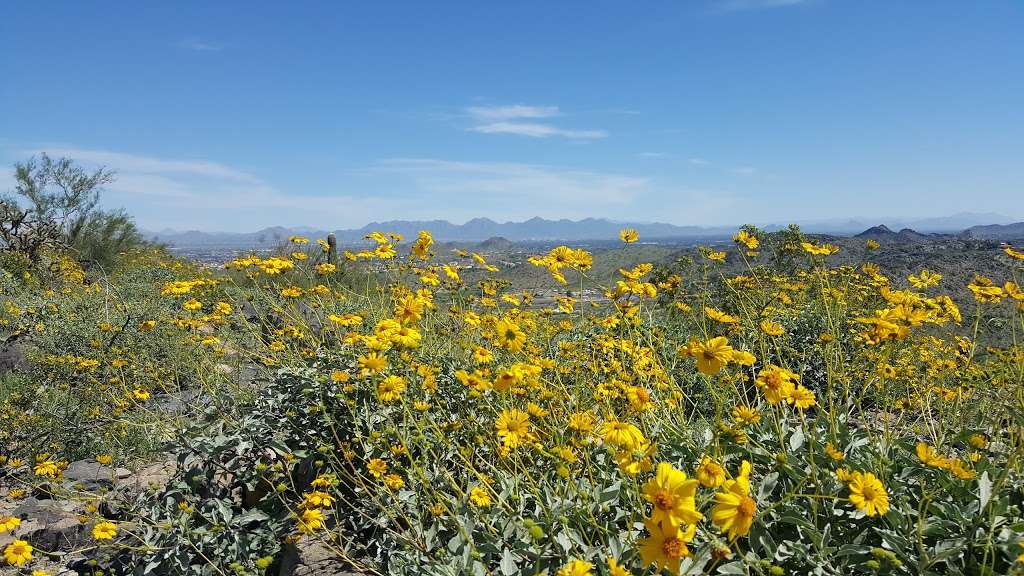 Shaw Butte Trail | Shaw Butte Trail, Phoenix, AZ 85029, USA