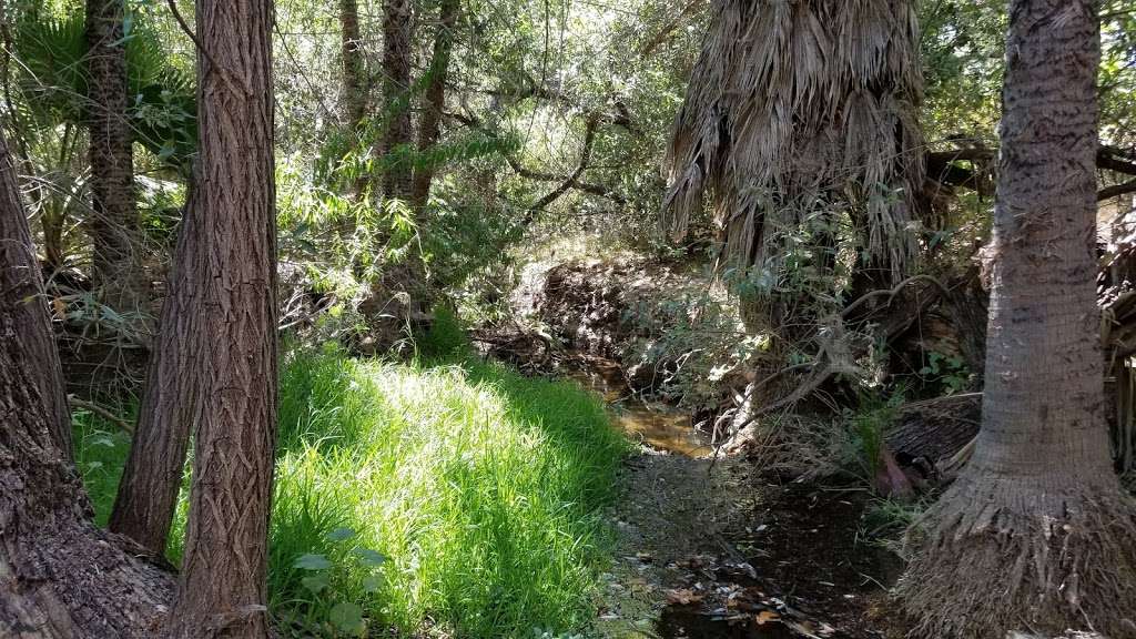 Bernardo Mountain Summit Trail - Access Road | Escondido, CA 92029, USA