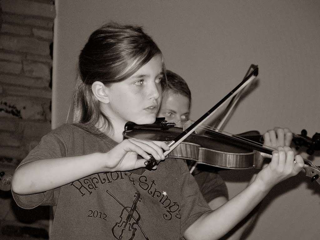 My Violin Studio | 114 Sycamore St, Brownsburg, IN 46112, USA