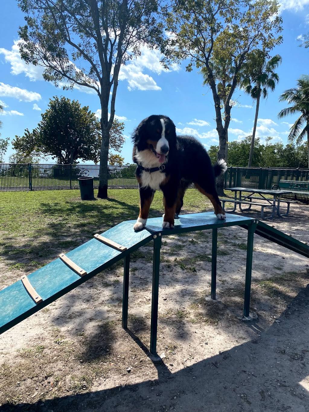 Coconut Grove Dog Park | 2171 S Bayshore Dr, Miami, FL 33133, USA | Phone: (305) 575-5256