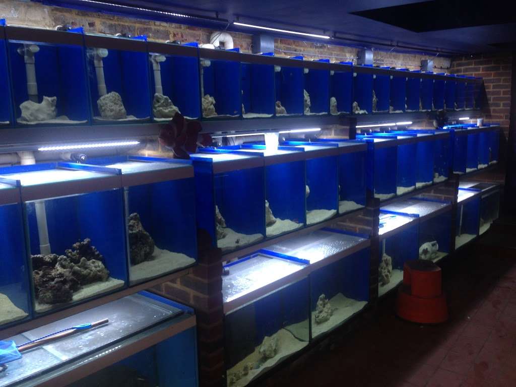 World of Fishes | World Of Fishes Eastbourne Road, A22, Felbridge, Lingfield RH7 6HL, UK | Phone: 01342 836633