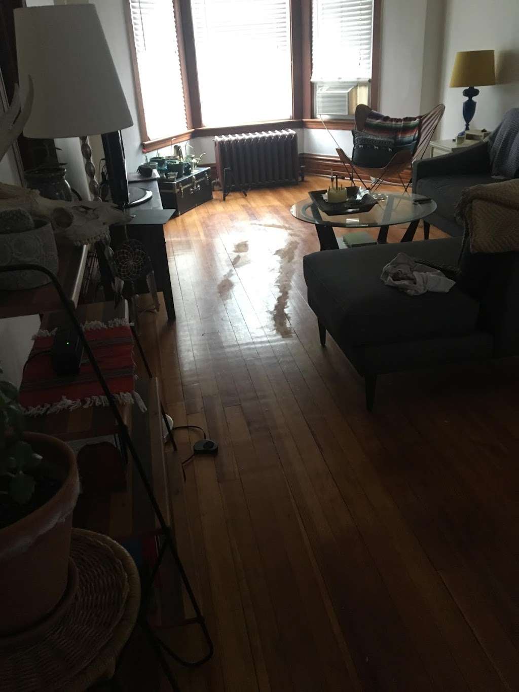 All Seasons Movers | 2400 W Fletcher St, Chicago, IL 60618, USA | Phone: (773) 338-1214