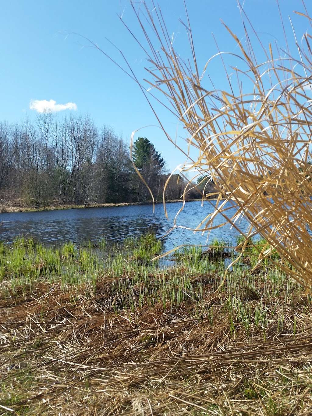 Tubbs Meadow Monroe Street Trailhead | 139 Monroe St, Pembroke, MA 02359, USA