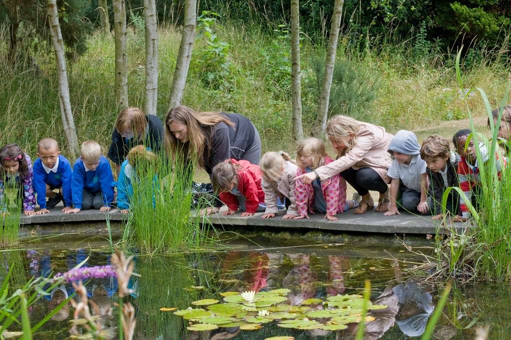 Wide Horizons Environment Centre | Environmental Curriculum Service, 77 Bexley Rd, London SE9 2PE, UK | Phone: 0845 600 6567