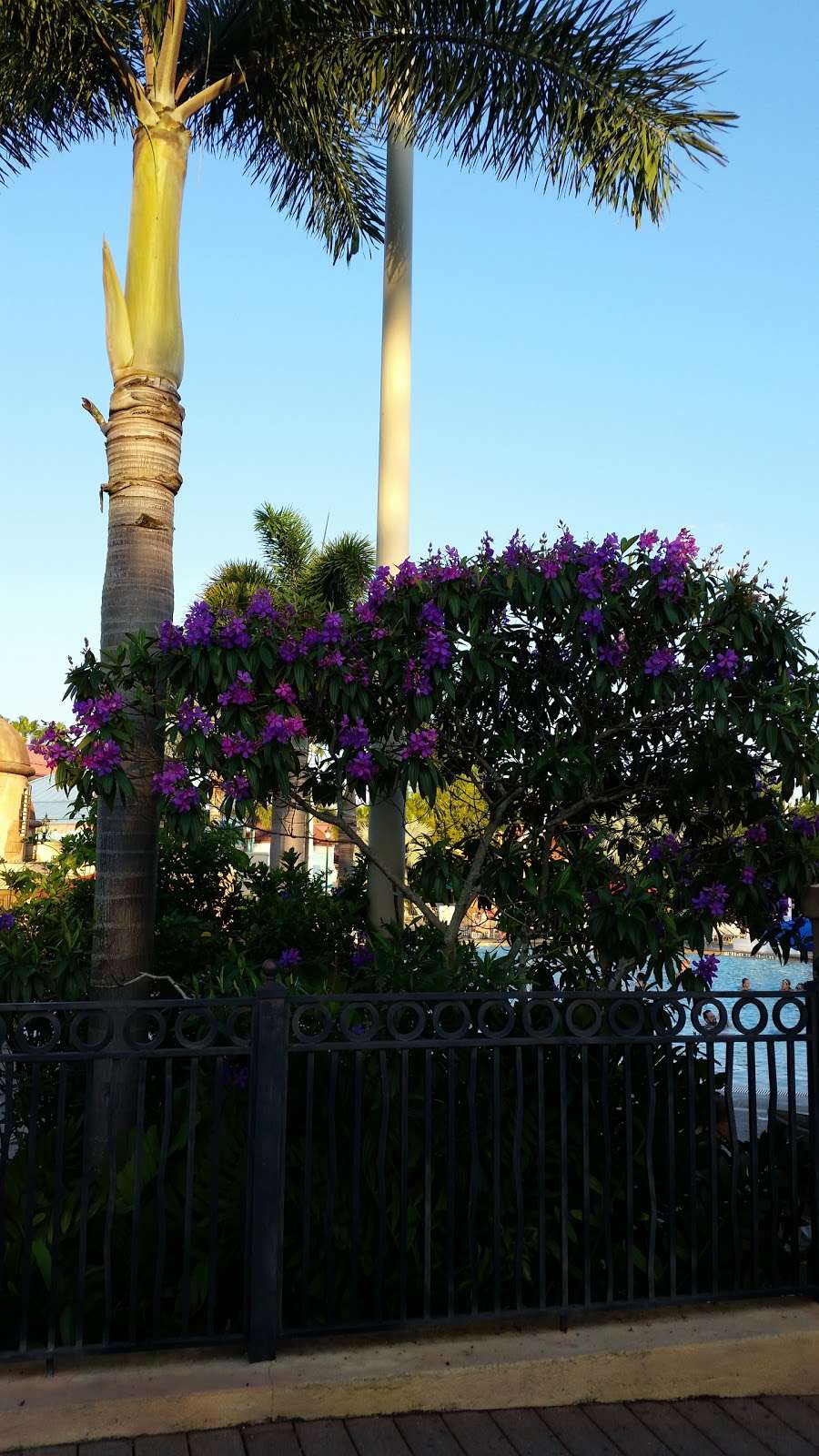 Bus Stop - Old Port Royale at Disneys Caribbean Beach Resort | Kissimmee, FL 34747, USA