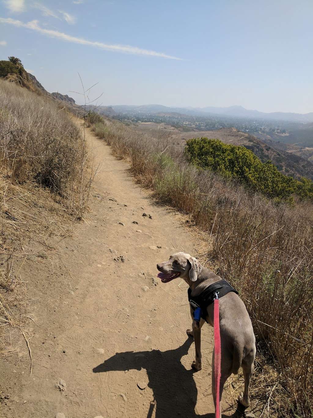 Lizard Rock Trailhead | Thousand Oaks, CA 91360, USA