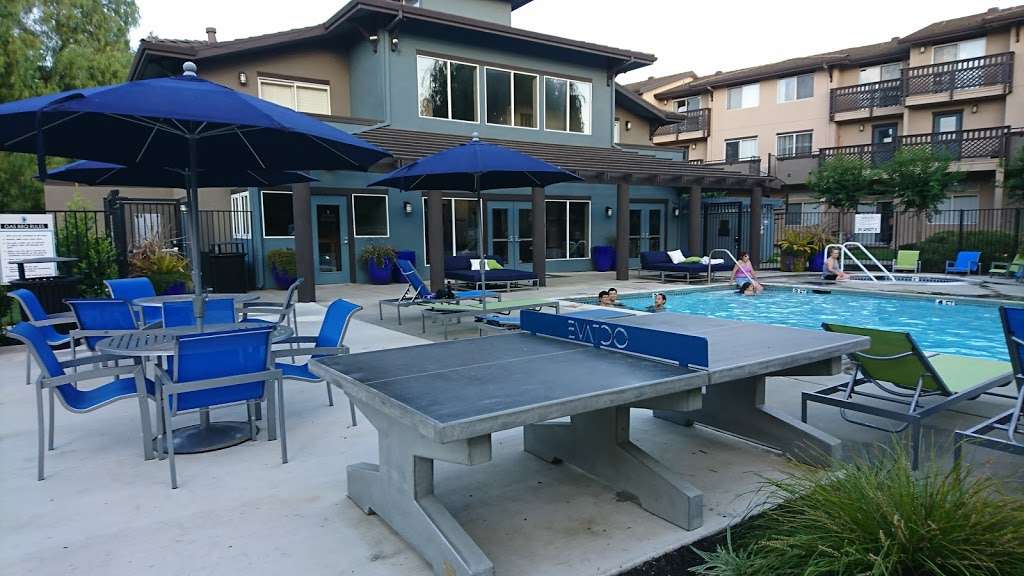 OCTAVE Apartments | 1659 Drew Cir, Davis, CA 95618, USA | Phone: (530) 554-4210 OCTAVE Apartments | 1659 Drew Cir, Davis, CA 95618, USA | Phone: (530) 554-4210