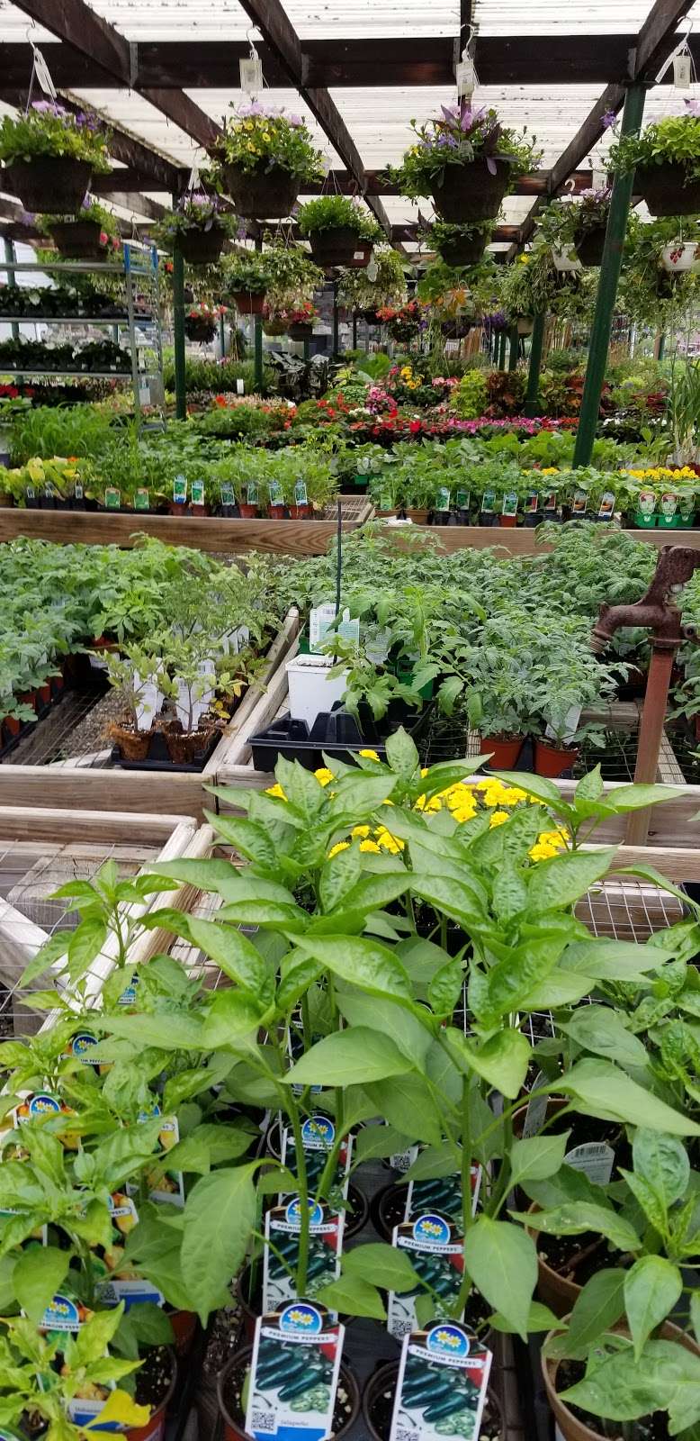 Pound Ridge Nurseries Inc | 6 Pound Ridge Rd, Pound Ridge, NY 10576, USA | Phone: (914) 764-5781