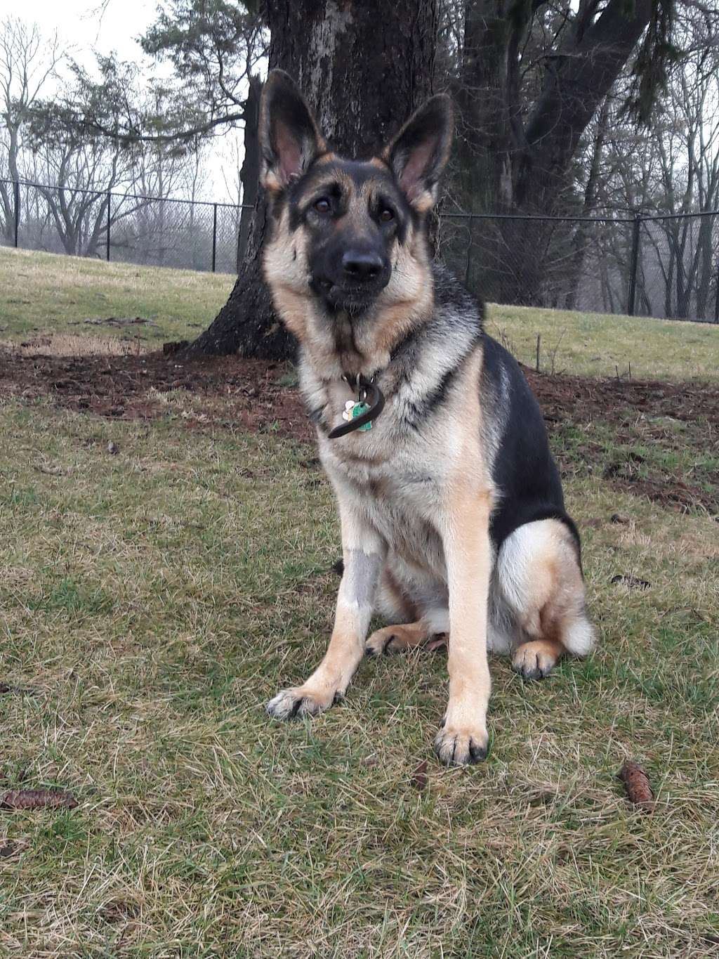 Lower Macungie Dog Park | Macungie, PA 18062, USA