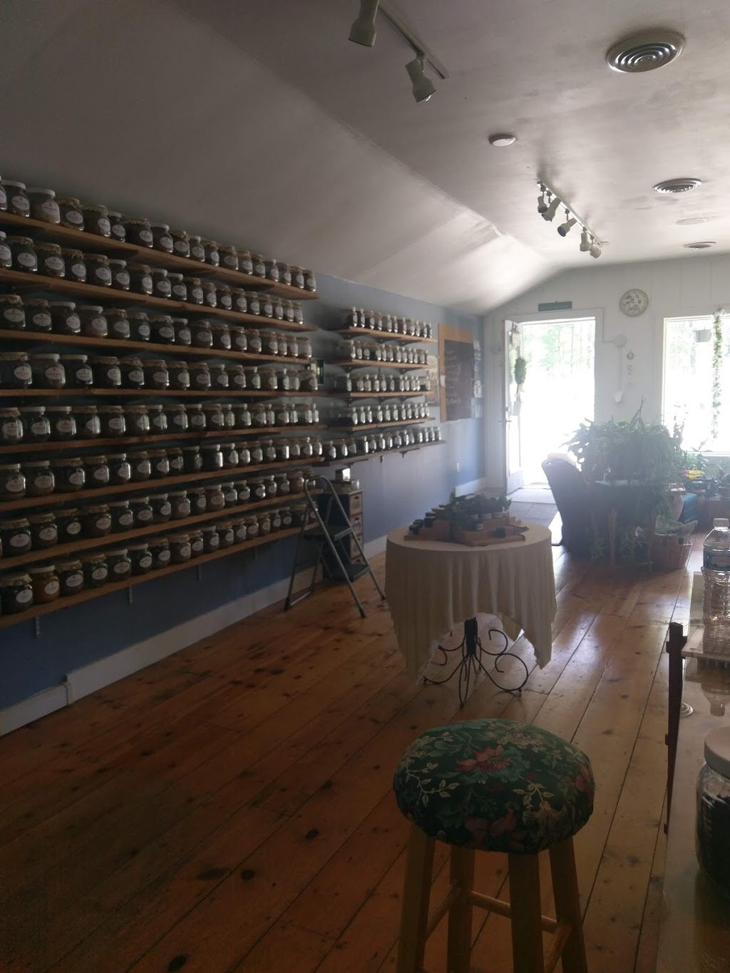 Holistic Lifestyle Apothecary | 15980 Red Arrow Hwy, Union Pier, MI 49129, USA | Phone: (574) 341-9087