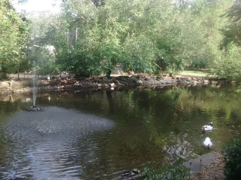 Cohanzick Zoo | 45 Mayor Aitken Dr, Bridgeton, NJ 08302, USA | Phone: (856) 453-1658