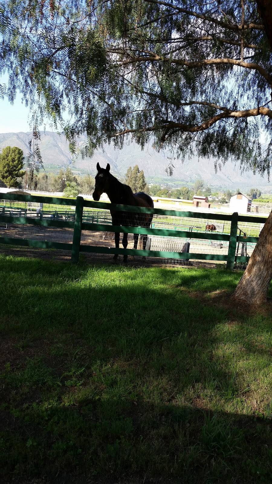 Pauma Valley Equestrian Centre | 32955 Cole Grade Rd, Valley Center, CA 92082, USA