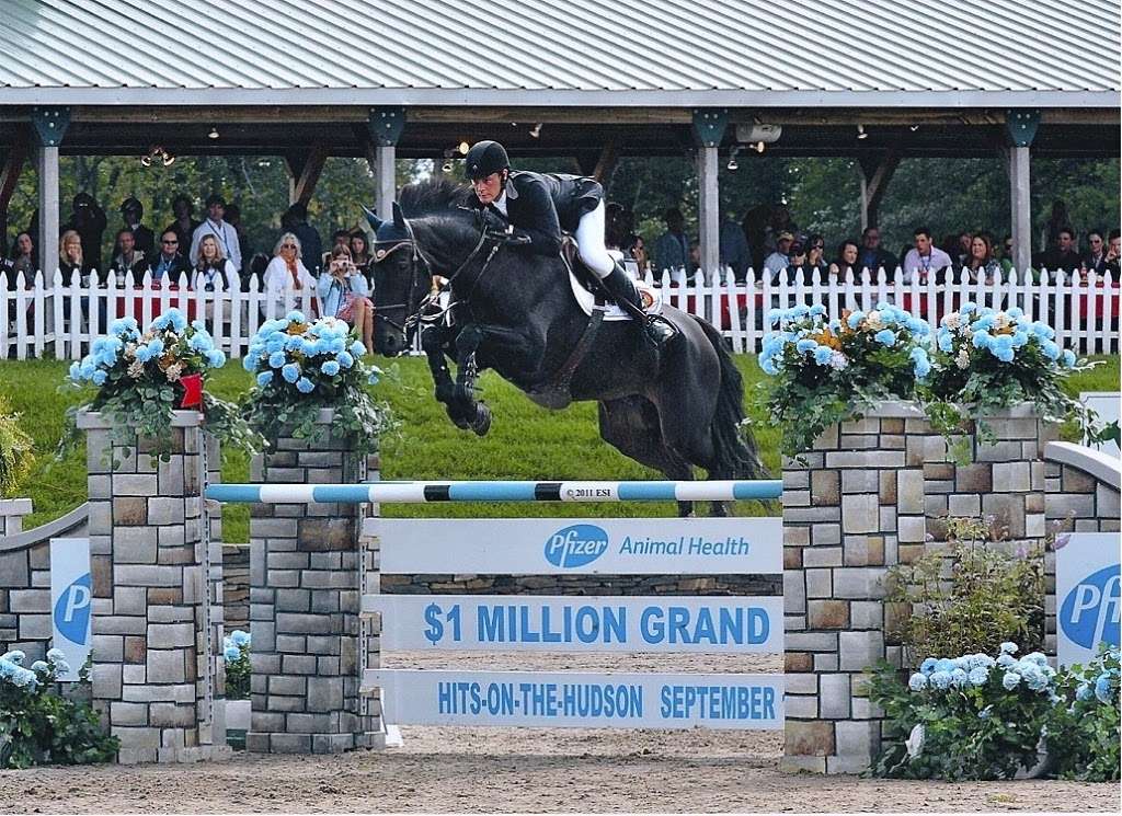 Equi Sport LLC | 731 Co Rd 579, Pittstown, NJ 08867, USA | Phone: (908) 735-8533