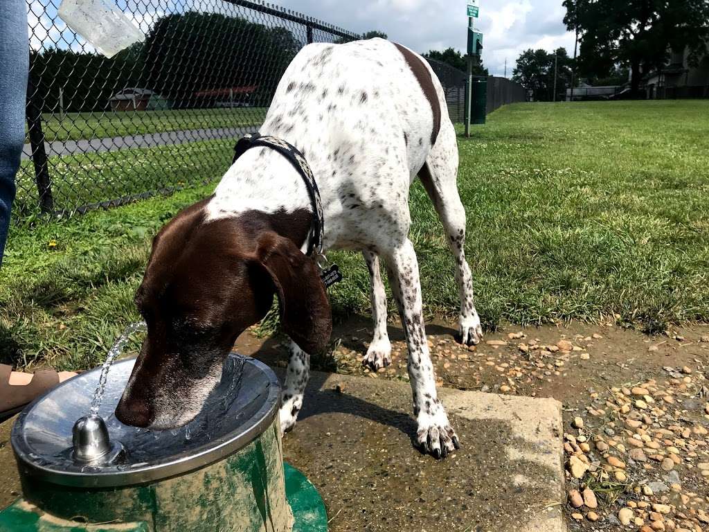 Allen Township Dog Park | Northampton, PA 18067, USA