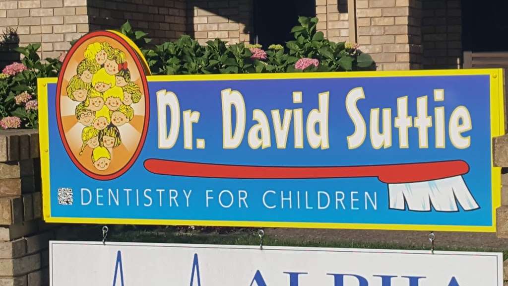 Dr. David Suttie Dentistry For Children | 3449 Valle Verde Dr, Napa, CA 94558, USA | Phone: (707) 257-6453