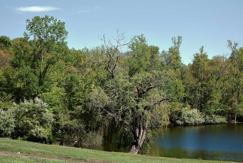 Parsons Pond Park | Parsons Pond Rd, Franklin Lakes, NJ 07417, USA | Phone: (201) 891-4000