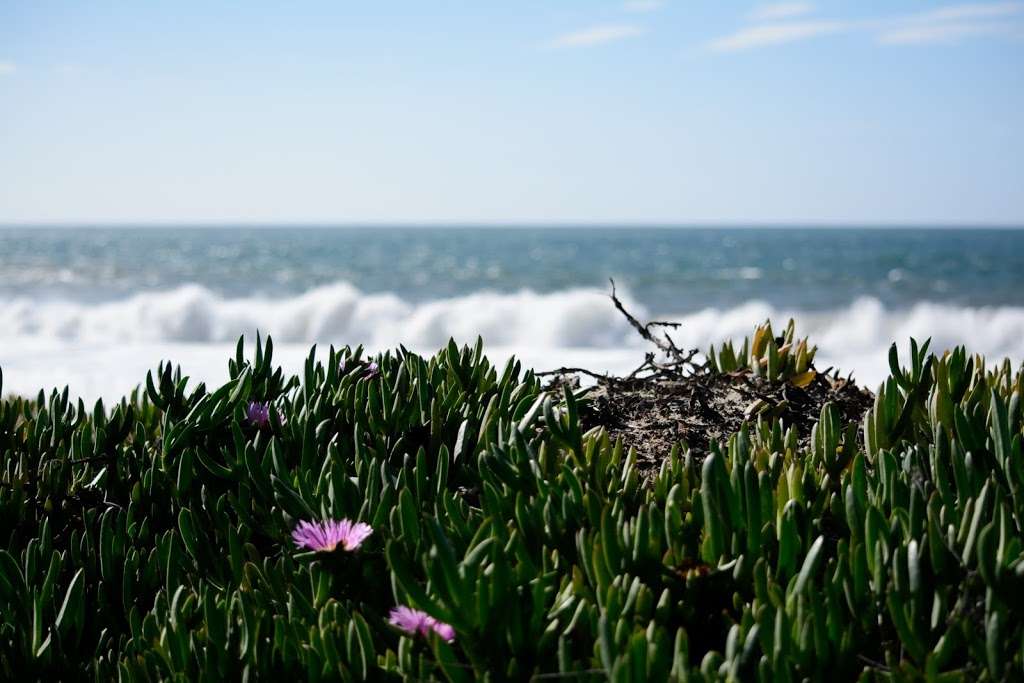 Corral Canyon Beach | 25712-, 26028 Pacific Coast Hwy, Malibu, CA 90265, USA