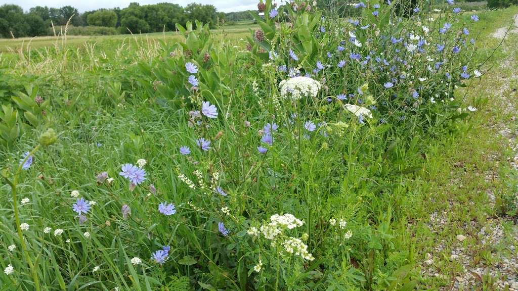 Burnt Village Park | County Rd N, Fort Atkinson, WI 53538, USA