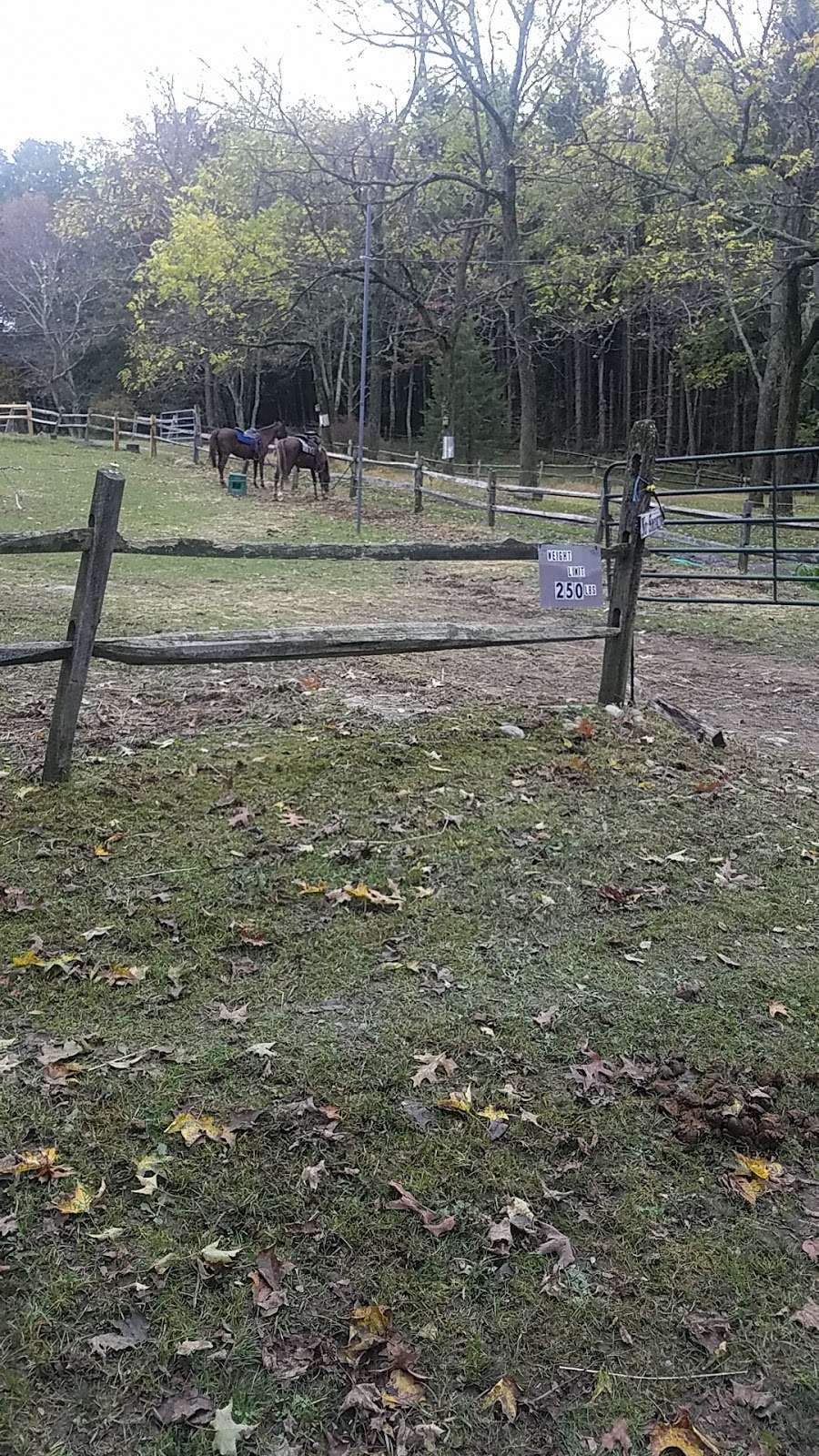 Sugar Mountain Carriages | Sugar Mountain Rd W, Bushkill, PA 18324, USA | Phone: (570) 588-3063