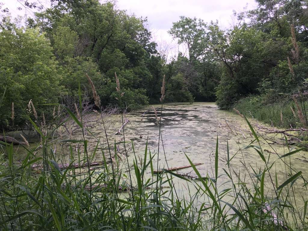 St. Catherines Trout Ponds | 5021-5083 4 Mile Rd, Racine, WI 53402, USA