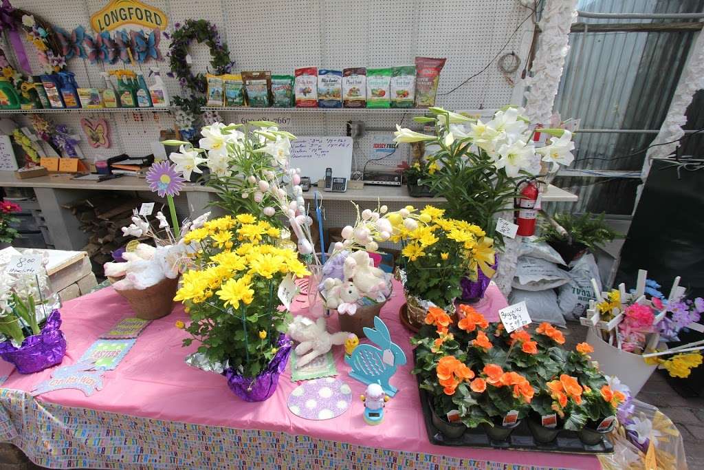 Longford Garden Center | 947 Kuser Rd, Hamilton Township, NJ 08619, USA | Phone: (609) 981-7667