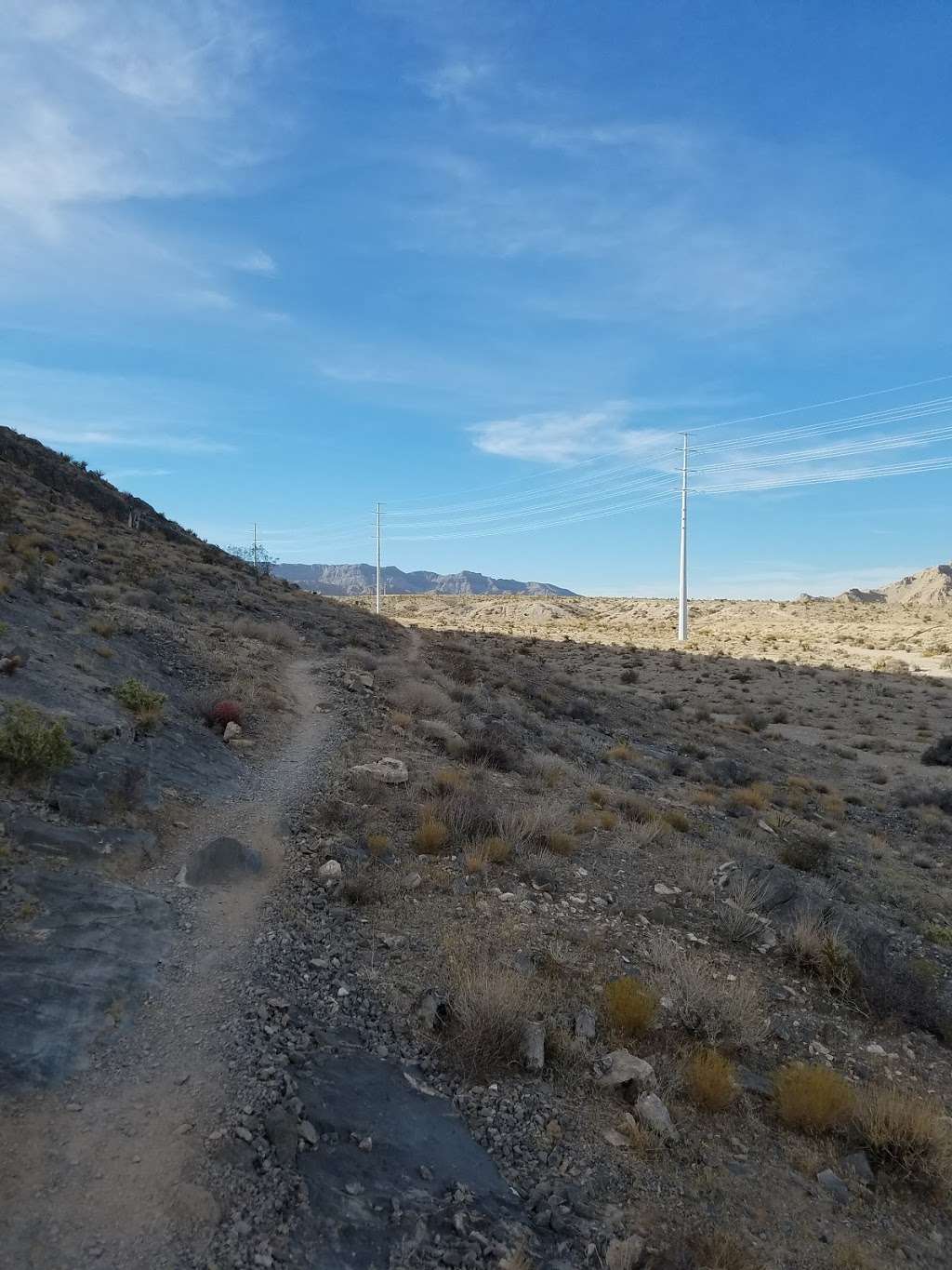 Cliff Shadows Open Desert Park | Las Vegas, NV 89129, USA