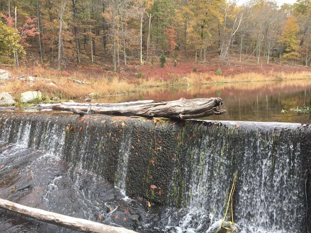 Blue Mountsin Lakes Parking Lot | Sandyston, NJ 07851, USA