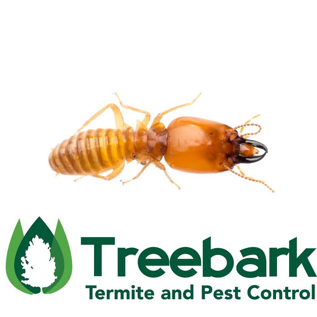 Treebark Termite and Pest Control | 8175 Limonite Ave, Riverside, CA 92509, USA | Phone: (951) 292-4017