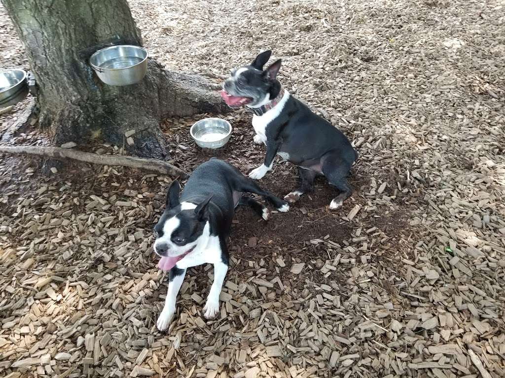 Dog Park at Dacey Community Field | Lincoln Street, Franklin, MA 02038, USA