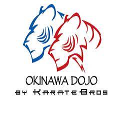 Okinawa Dojo by KarateBros | 3425 S Oleander Ct, Denver, CO 80224, United States | Phone: (303) 547-7248