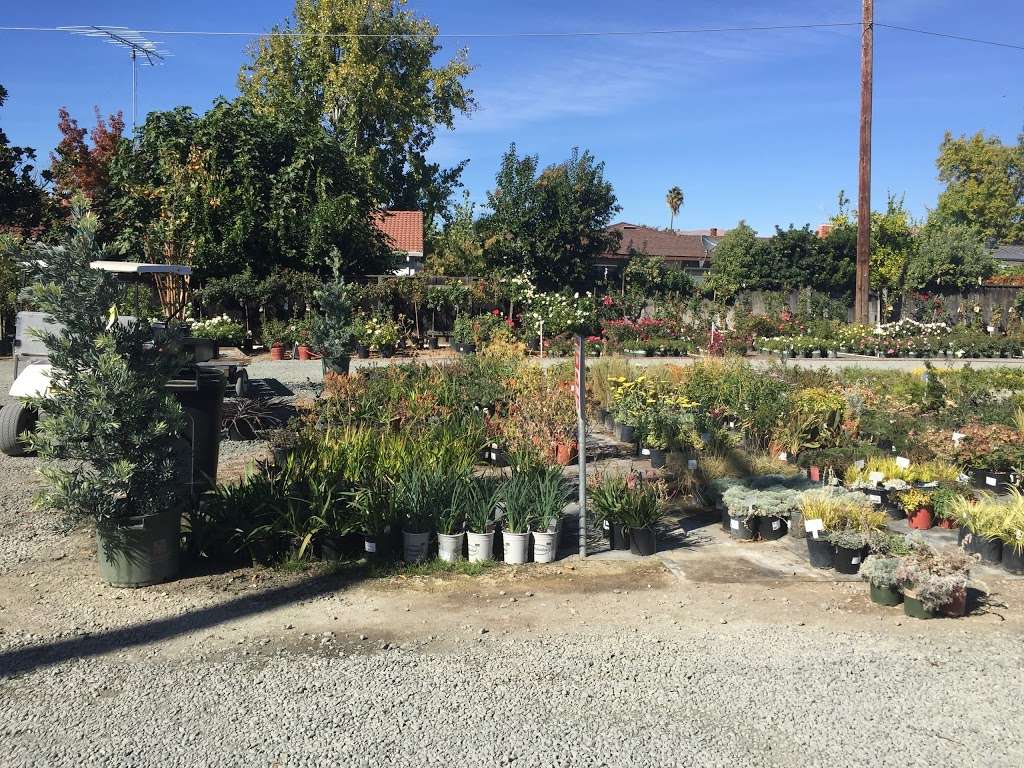 Capitol Wholesale Nursery, Inc. | 2938 Everdale Dr, San Jose, CA 95148, USA | Phone: (408) 239-0589