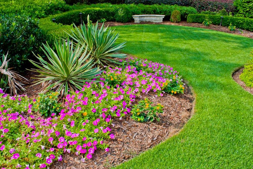 Champion Landscape Supplies | 1723 S Texas 6, Houston, TX 77077 | Phone: (281) 558-9948