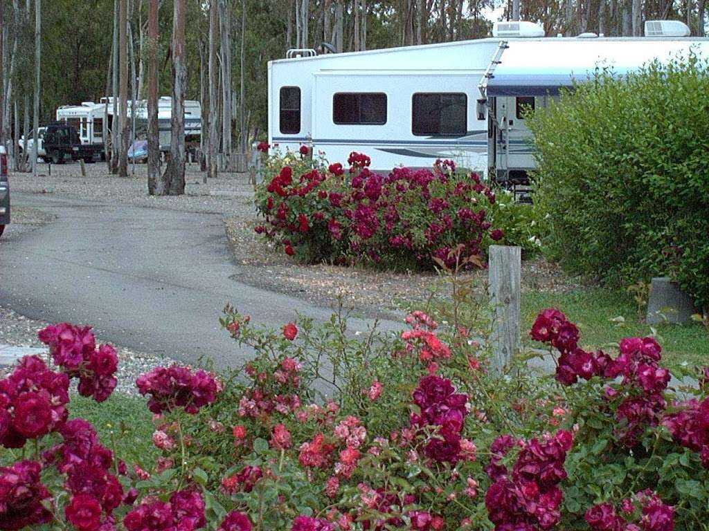 Midway RV Park | 4933 Midway Rd, Vacaville, CA 95688, USA | Phone: (707) 446-7679