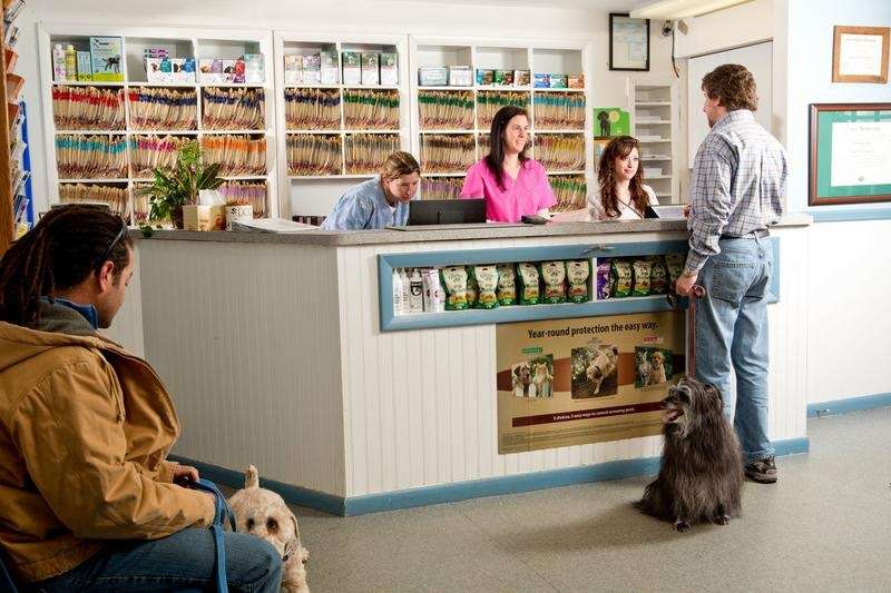 Vernon Veterinary Clinic | 347 Rte 94, Vernon Township, NJ 07462, USA | Phone: (973) 764-3630