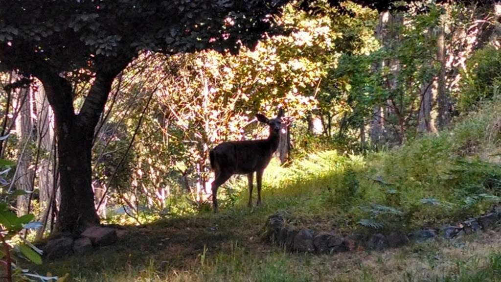 Osprey Peak Bed & Breakfast | 10 Miwok Way, Inverness, CA 94937 | Phone: (415) 669-1467