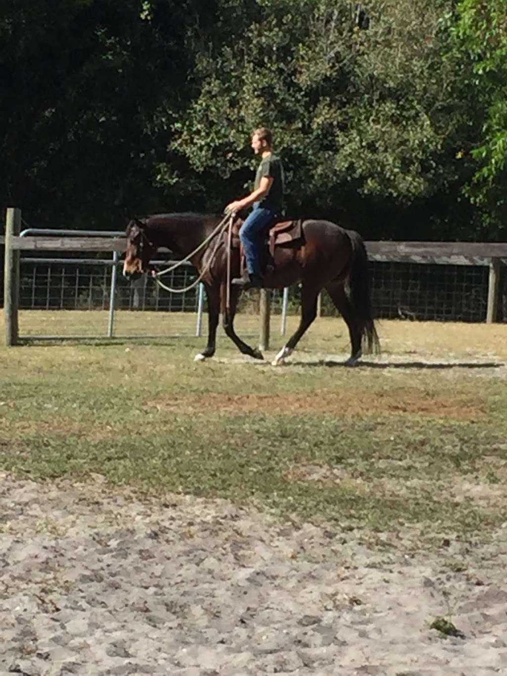 All In Horsemanship, LLC | 12550 170th Rd N, Jupiter, FL 33478 | Phone: (561) 427-9751