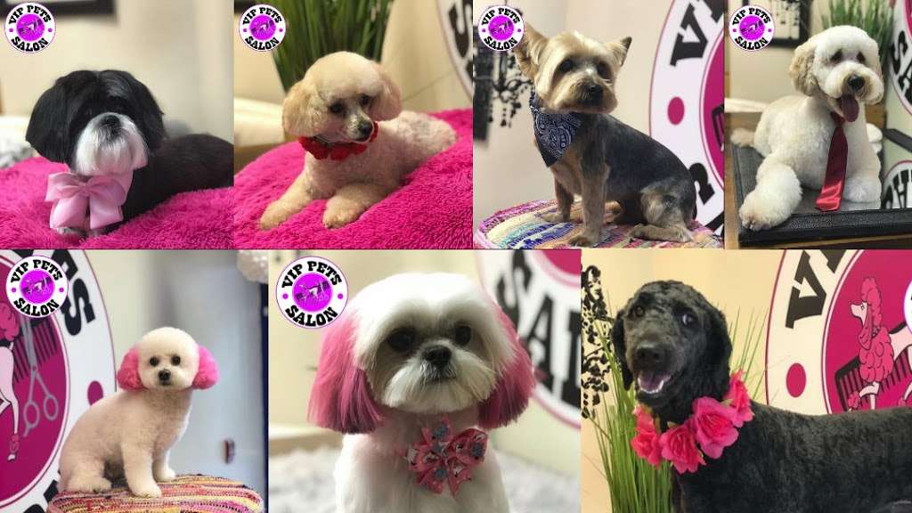 V.I.P Pets Salon | 20170 Pines Blvd #109, Pembroke Pines, FL 33029, USA | Phone: (954) 241-0222