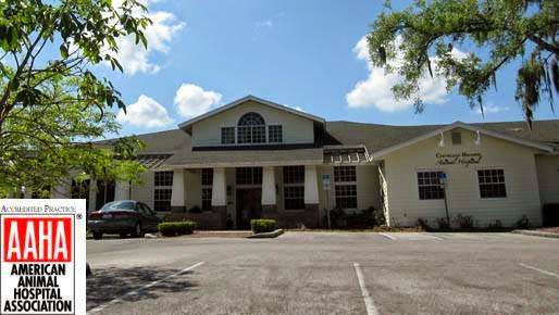 Cleveland Heights Animal Hospital | 3710 Cleveland Heights Blvd, Lakeland, FL 33803, USA | Phone: (863) 646-2995