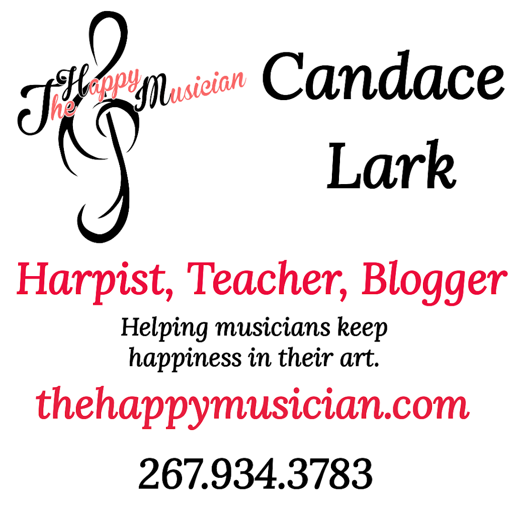 Lark Music- Private Piano, Harp & Voice Lessons | 2012 Birchwood Dr, Norristown, PA 19401, USA | Phone: (267) 934-3783
