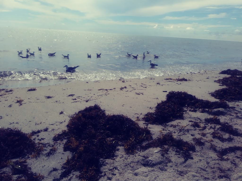 Douglas Street Parking | 398 Douglas St, Hollywood, FL 33019, USA | Phone: (954) 921-3535