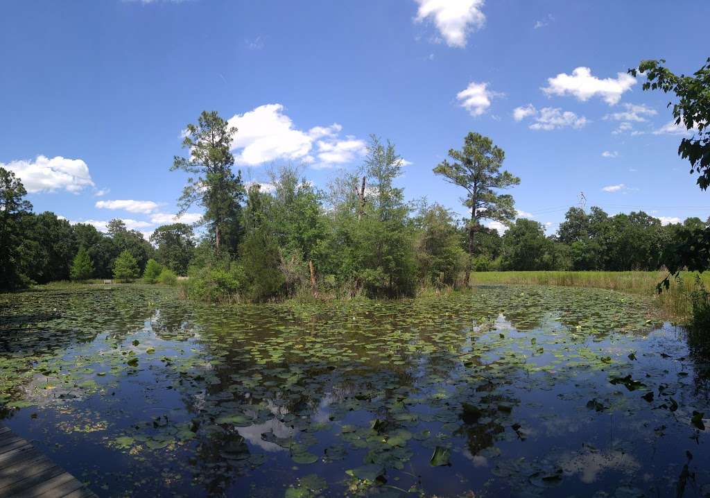 Arboretum Lake | Houston, TX 77024, USA