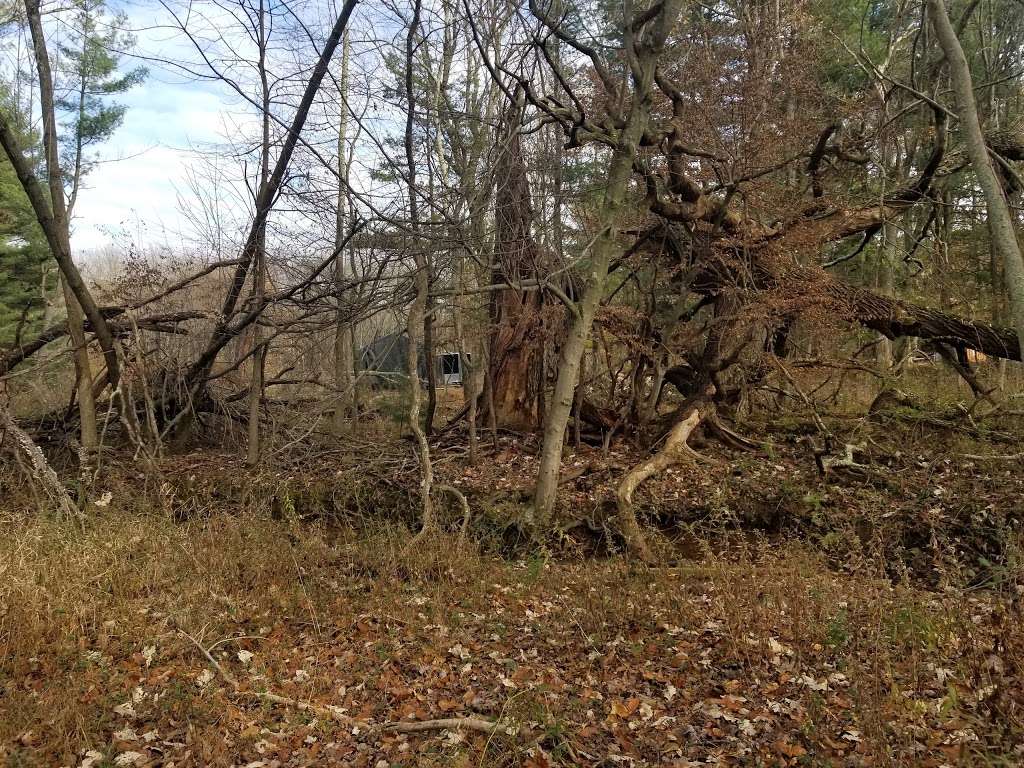 Stransky Nature Trails | 179-195 Mt Horeb Rd, Warren, NJ 07059, USA