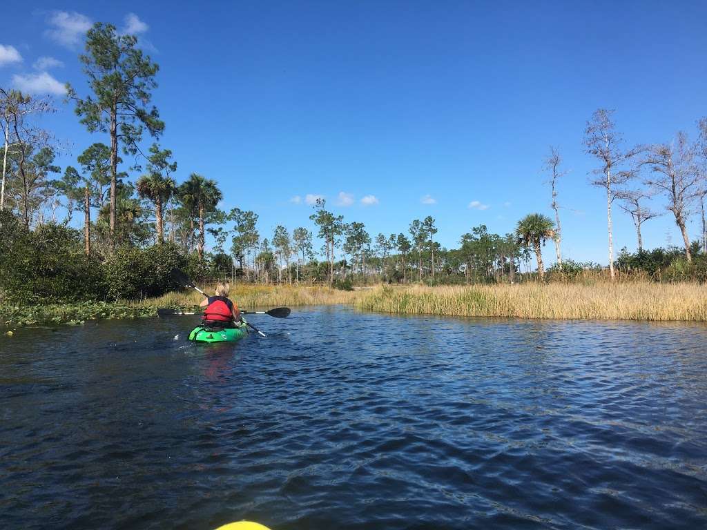 Cypress Creek South Natural Area | 9424 W Indiantown Rd, Jupiter, FL 33478, USA | Phone: (561) 233-2400