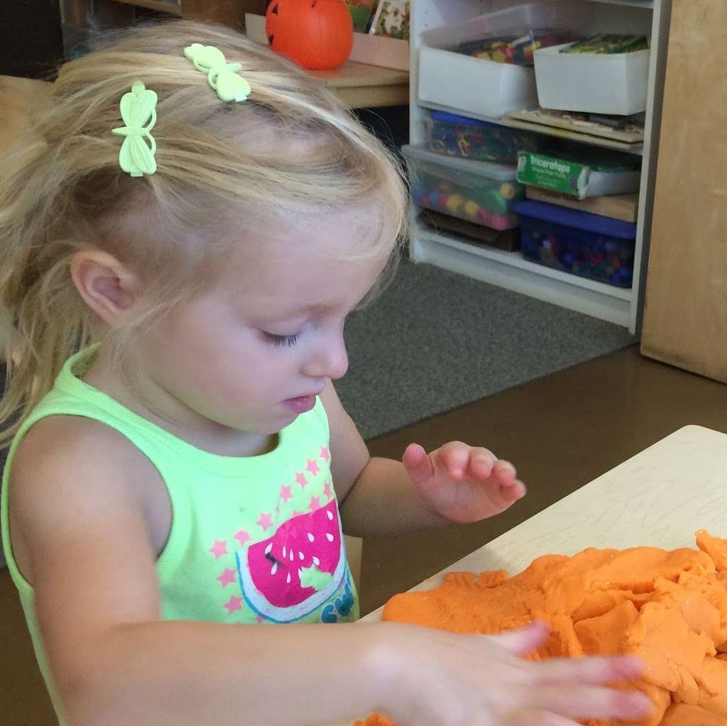 Early Education Co-Op | 4027 E Lincoln Dr, Paradise Valley, AZ 85253 | Phone: (602) 840-8400 ext. 233