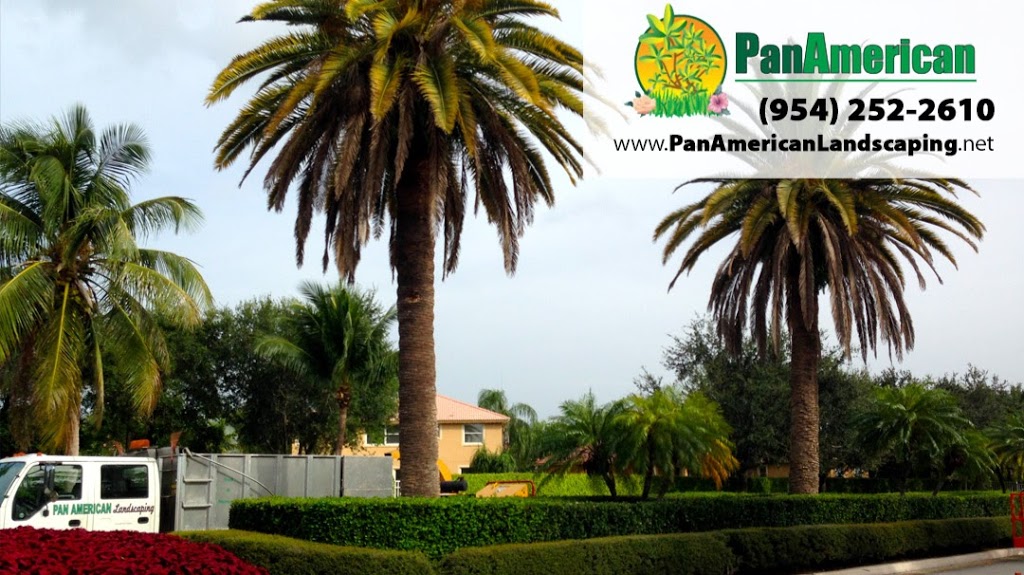 Pan American Landscaping, Inc. | 7001 SW 185th Way, Southwest Ranches, FL 33332, USA | Phone: (954) 252-2610